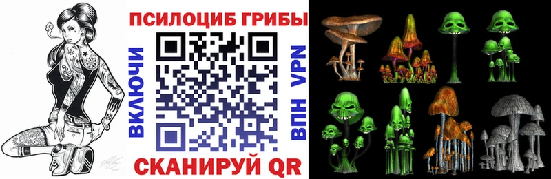 где можно купить наркотик  Кинель  Галлюциногенные грибы Magic Shrooms 
